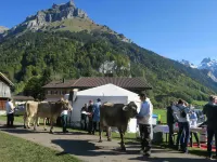 Chalet Heureka-Horbis - 2-Star