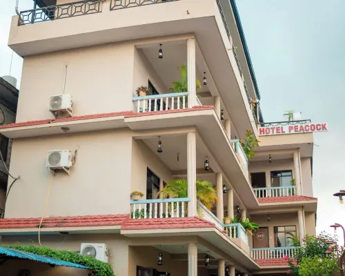 Peacock - a Family-Run Hotel Hotels in Sauraha