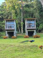 Tierra Adentro Bed and Breakfast