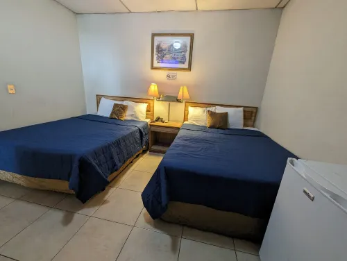 Hotel Mediterraneo Plaza - Business