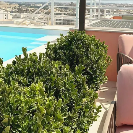 Ta' Tereza in Manwel Dimech