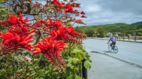 Ada Garden Hotel Okinawa - pemandangan pegunungan