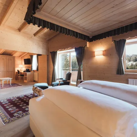 Hotel Ciasa Salares