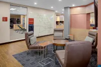 TownePlace Suites Albany - Pet friendly