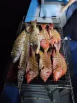Oceana Surf Maldives - breakfast