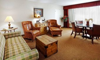 Holiday Inn Asheville East-Blue Ridge Pkwy