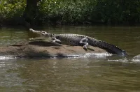 Angel Villa - Exotic Holidays in Private Villa Near Beach