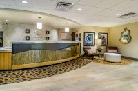 Comfort Inn Raleigh Midtown