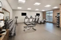 Hampton Inn by Hilton Greer Greenville - Gym