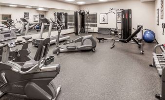a gym with various exercise equipment , including treadmills and weight machines , arranged in a spacious room at Ramada by Wyndham High River