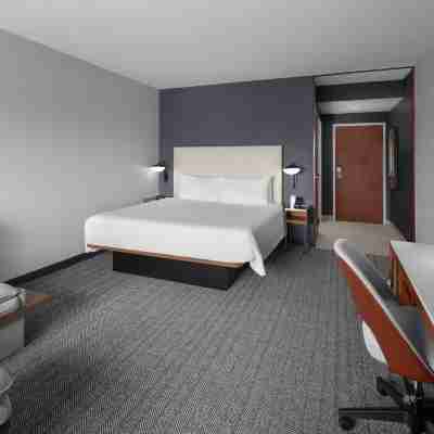 Courtyard Tampa Oldsmar Rooms