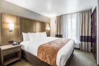 Comfort Suites