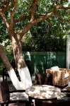 Aphrodite Samos Suites Hotels in Samos