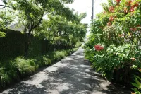 The Gardens - parking