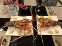 Olive Goidhoo Hotels in Goidhoo