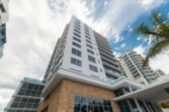 Monte Carlo by Miami Ambassadors