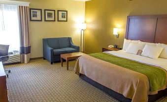 Comfort Inn Hammond