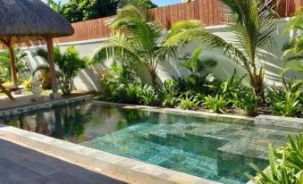 3 Bedrooms Villa with Private Pool Enclosed Garden and Wifi at Pereybere Grand Baie