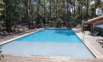 a large outdoor swimming pool surrounded by trees , with lounge chairs and umbrellas placed around the pool area at Green Resort