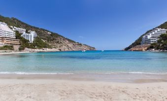 a beautiful beach with clear blue water and white sand , surrounded by mountains and a group of people enjoying the sunny day at Typic Oasis Sa Tanca