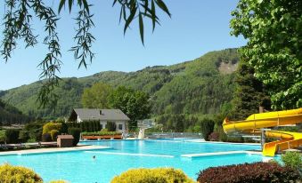 a large outdoor swimming pool surrounded by trees , with several people enjoying their time in the water at Berghof