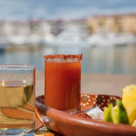 Flamingo Vallarta Hotel & Marina