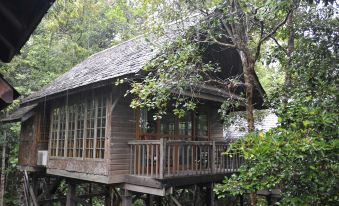 Permai Rainforest Resort