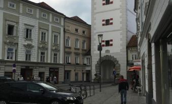 Hotel Maxlhaid