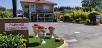 Hotel A Marisqueira I Aeropuerto A Coruña Hotels in Sada