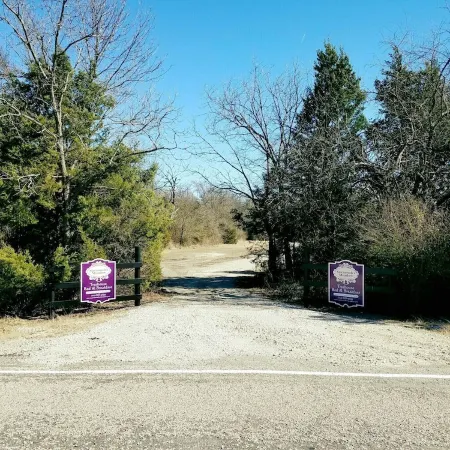 Savannah's Meadow