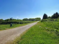 "Eloise" - 50m to the Fjord Hotels in Roslev