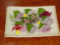 Onsen Minshuku Shirahamaya