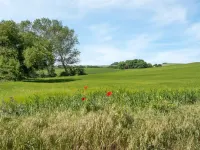 "Bitha" - 400m from the Sea Hotels in Knebel