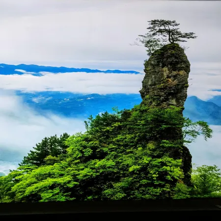 Dazhou Yuanchao Hotel
