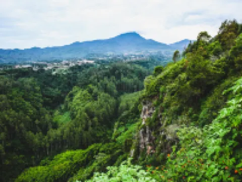 Mana Cottage Hotels in Cimenyan