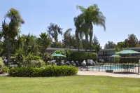 Ramada by Wyndham Sunnyvale/Silicon Valley - Rooftop Pools