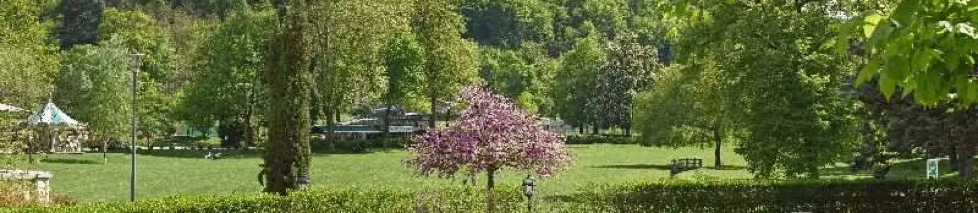 Gehobene Hotels 