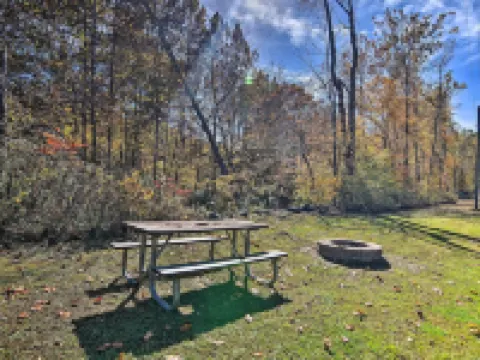 帕森斯小屋配有火坑和河流通道！ 塔克縣酒店