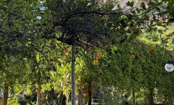 Hacienda Ramona