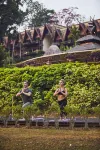 Anantara Golden Triangle Elephant Camp & Resort