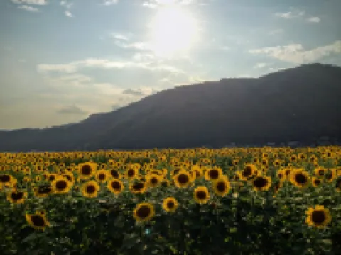 泊まれるコワーキングコバコWork&Camp 佐用町のホテル