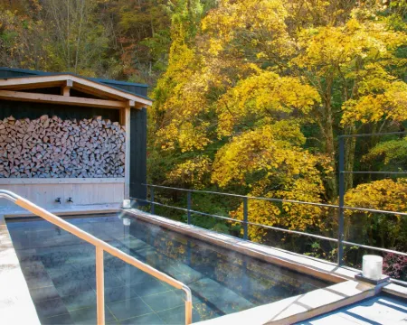 創業大正十五年 蓼科 親湯温泉 茅野のホテル