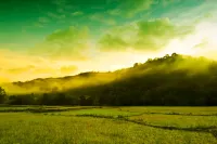 Meriyanda Nature Lodge Coorg Отели в г. Канданаколли