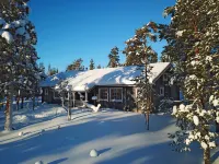 Tunturikoivu b1