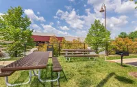 Extended Stay America Premier Suites - Fredericksburg Hotels in Chancellor