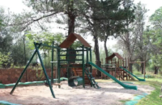 The Cradle Berry Farm