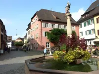 Hotel der Löwen in Staufen Hotels in Heitersheim