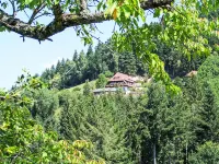 Biohof Herrenweg Hotels in Schiltach