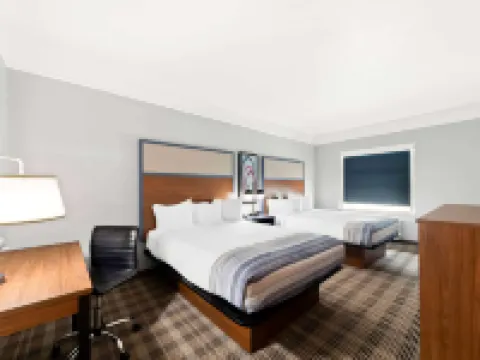 AmericInn by Wyndham New Braunfels Hotels in New Braunfels