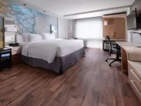 Courtyard Dallas Plano/The Colony Hotels in The Colony